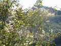 Passerelles 083